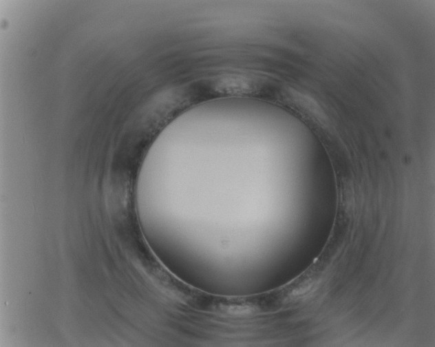 X0000062900645200601201912