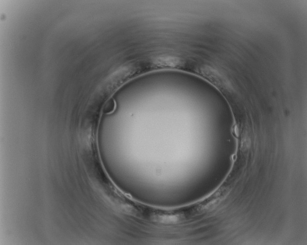 X0000062900647200601201912