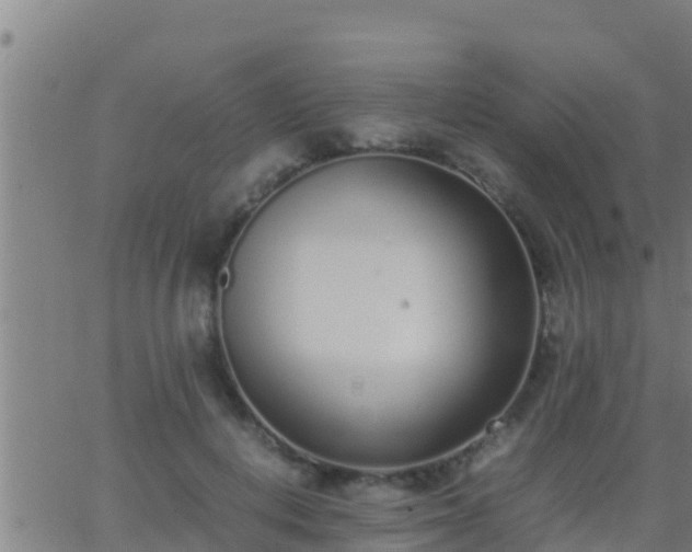 X0000062900648200601201912