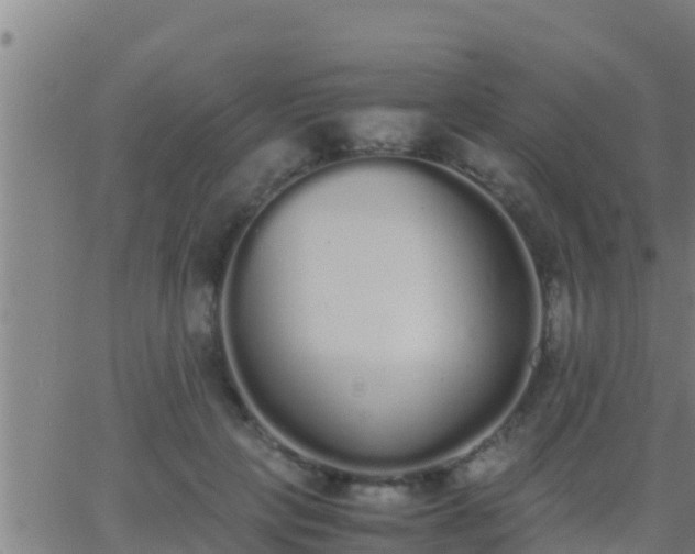 X0000062900649200601201912