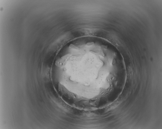 X0000062900650200601201912