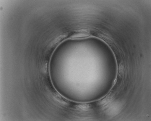 X0000062900652200601201912