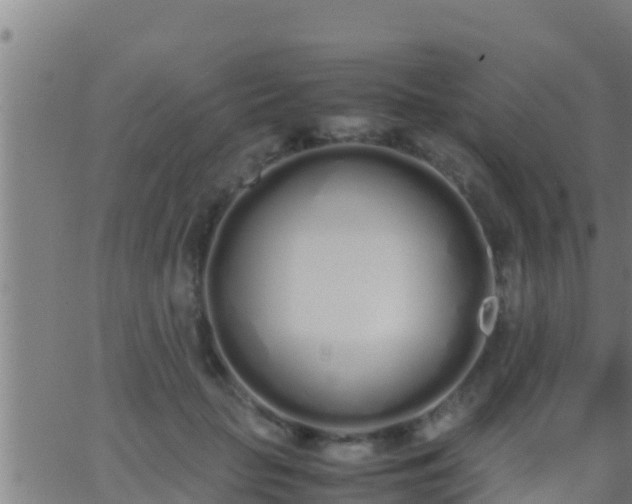 X0000062900653200601201912