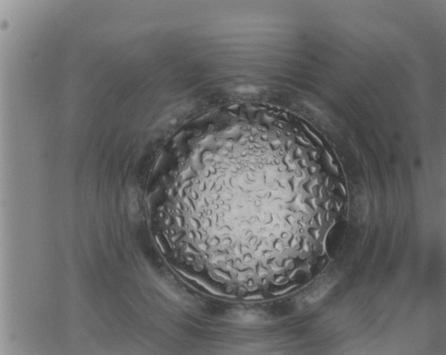 X0000062900654200601201912