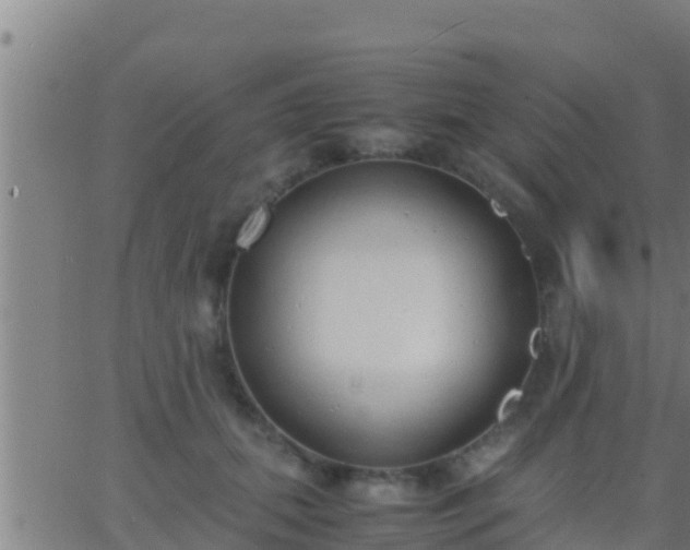 X0000062900655200601201912