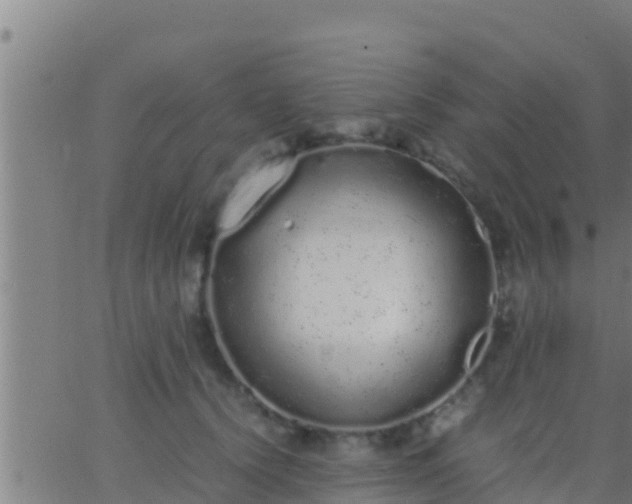 X0000062900656200601201912