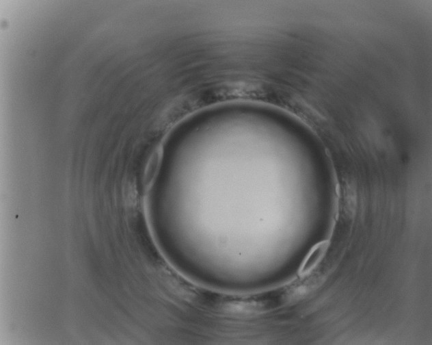 X0000062900657200601201912