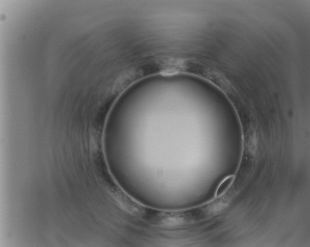 X0000062900658200601201912