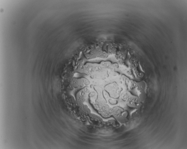 X0000062900659200601201912