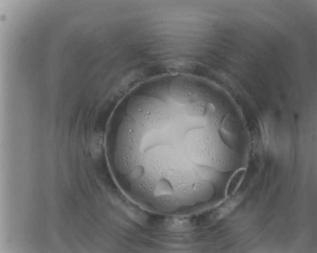 X0000062900660200601201912