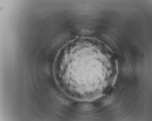 X0000062900663200601201912