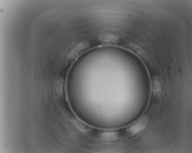 X0000062900664200601201912