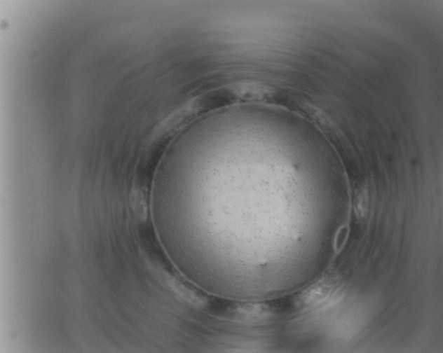 X0000062900666200601201912