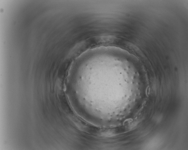 X0000062900667200601201912