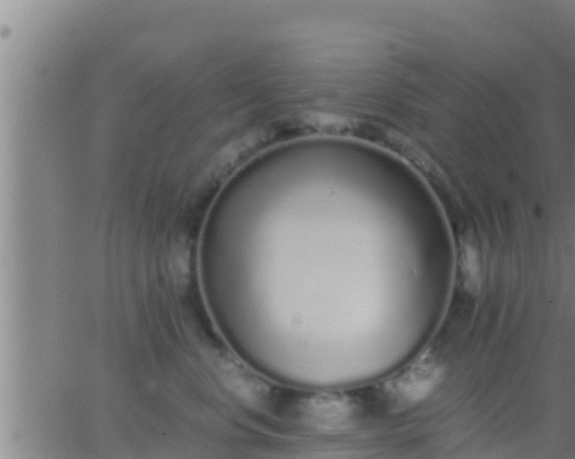 X0000062900668200601201912