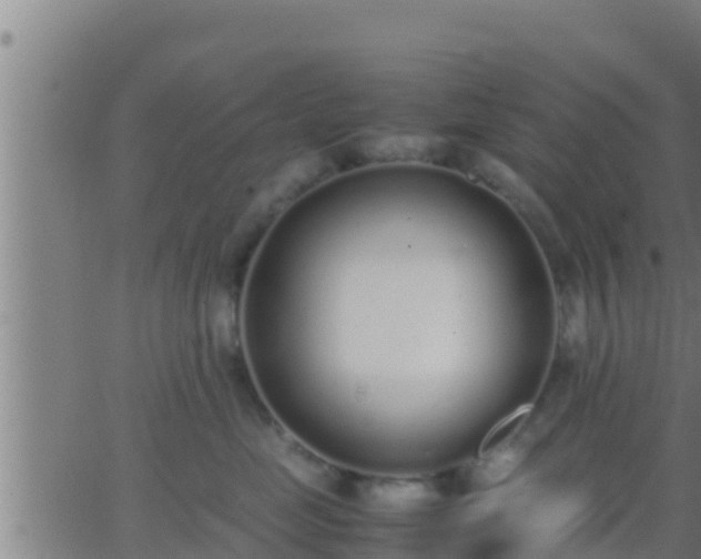 X0000062900669200601201912