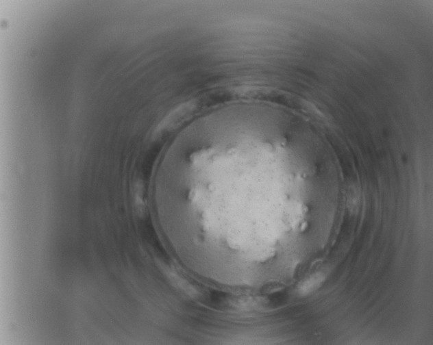 X0000062900670200601201912