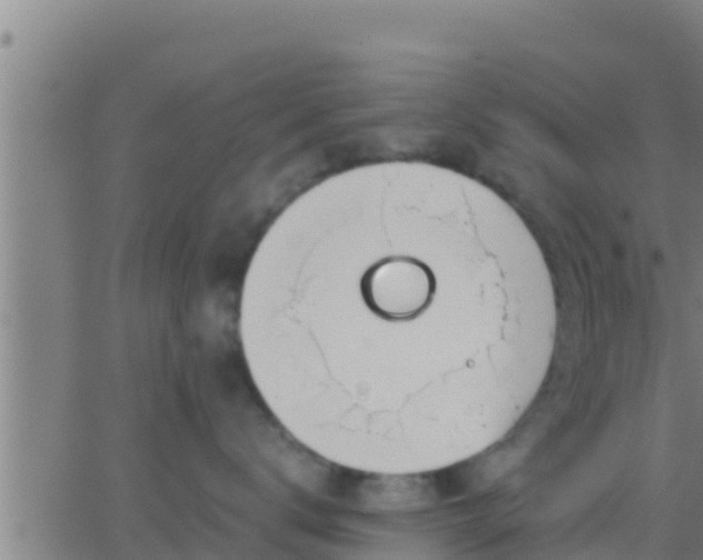 X0000062900672200601201912