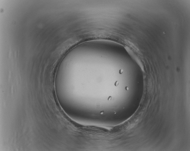 X0000062900673200601201912