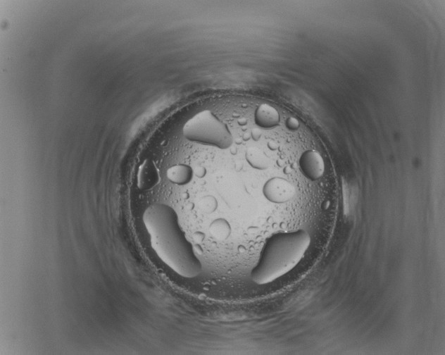 X0000062900675200601201911