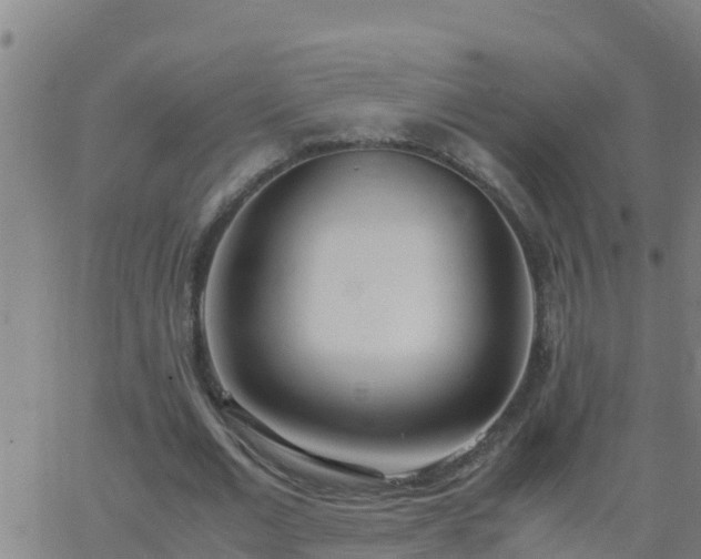 X0000062900677200601201911