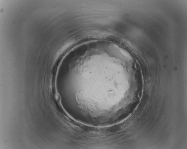 X0000062900679200601201911