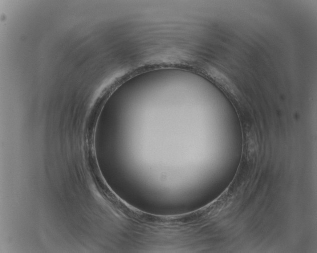 X0000062900680200601201911