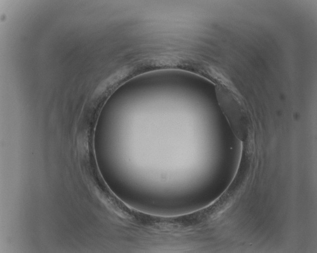 X0000062900681200601201911