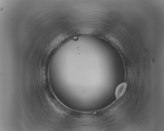 X0000062900682200601201911