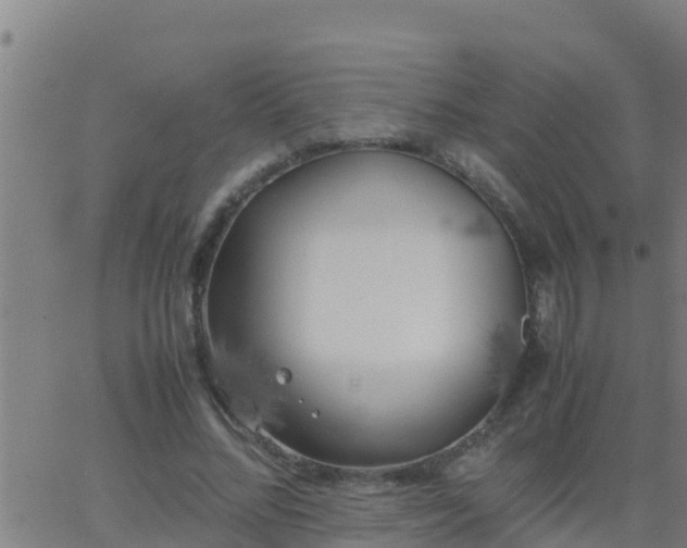 X0000062900684200601201911