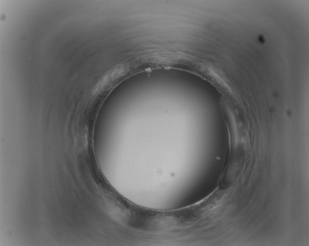 X0000062900685200601201911