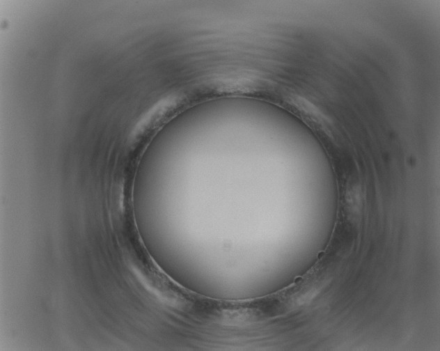 X0000062900686200601201911