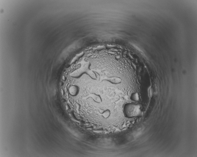 X0000062900687200601201911