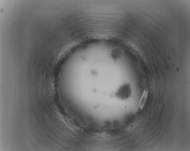 X0000062900688200601201911