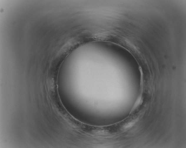 X0000062900689200601201911