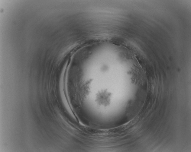 X0000062900692200601201911