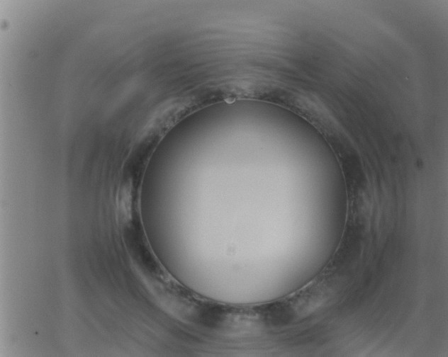 X0000062900694200601201911