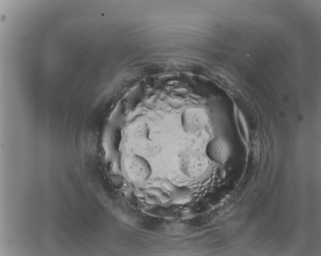 X0000062900695200601201911