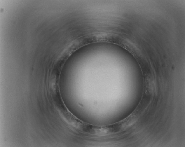 X0000062900698200601201911