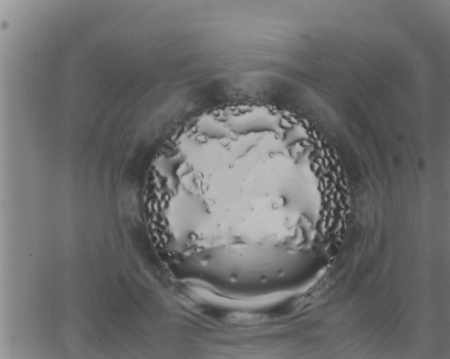 X0000062900699200601201911