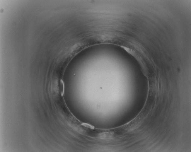 X0000062900700200601201911