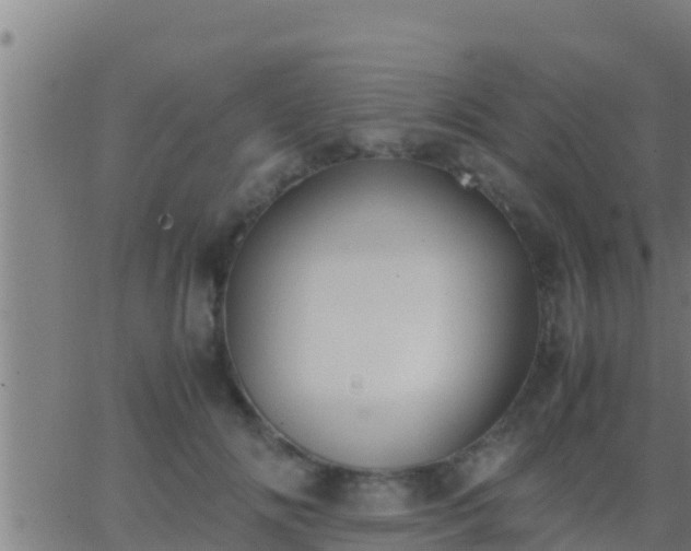 X0000062900702200601201911