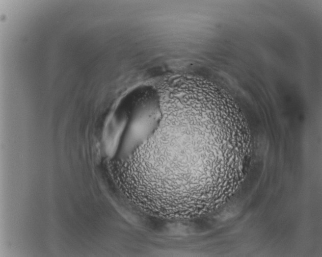 X0000062900703200601201911