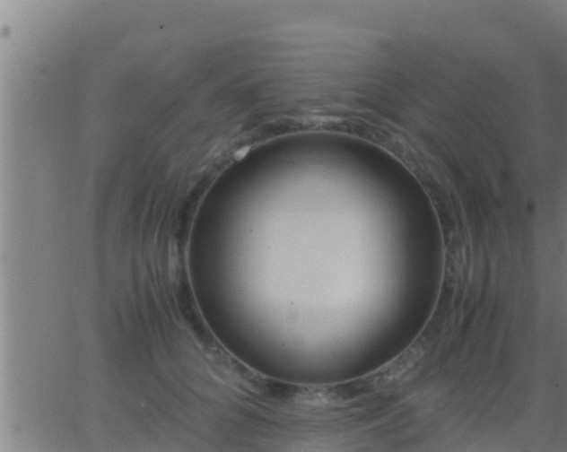 X0000062900704200601201911