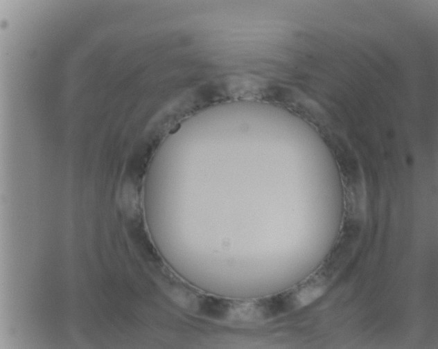 X0000062900705200601201911