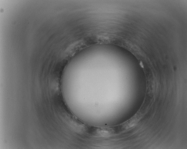 X0000062900706200601201911