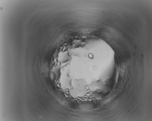 X0000062900707200601201911