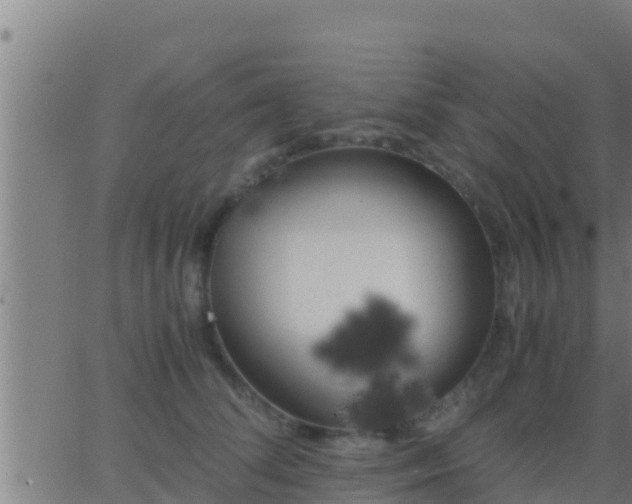 X0000062900708200601201911