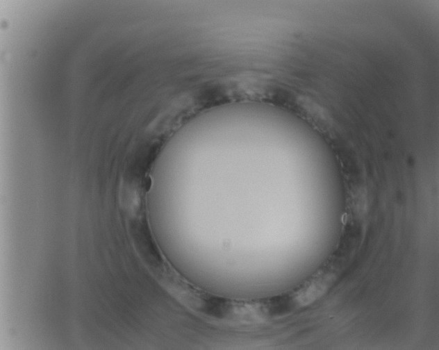 X0000062900709200601201911