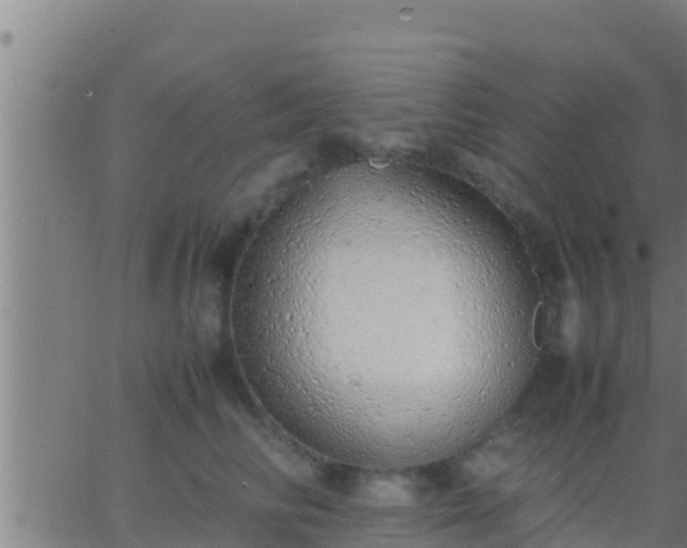 X0000062900710200601201911